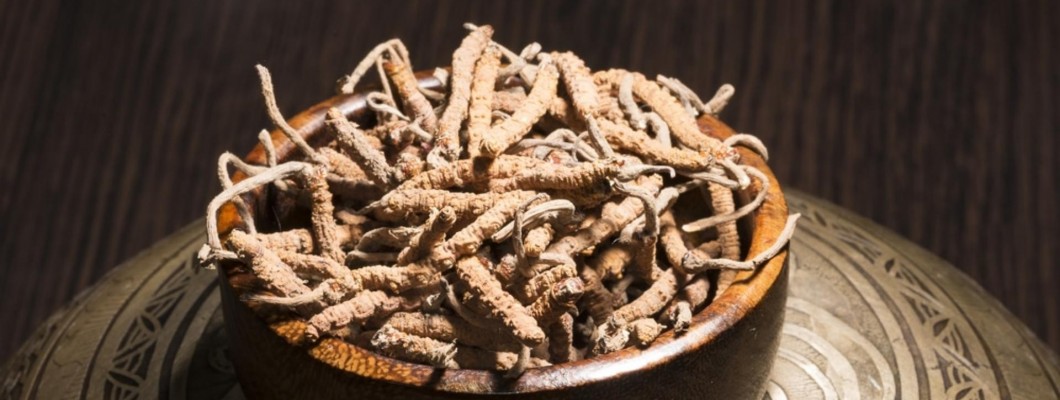 CORDYCEPS. 6 BENEFICII DOVEDITE ȘTIINȚIFIC CORDYCEPS. 6 BENEFICII DOVEDITE ȘTIINȚIFIC