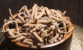 CORDYCEPS. 6 BENEFICII DOVEDITE ȘTIINȚIFIC