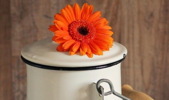 COLOSTRUL ȘI DURERILE ARTICULARE