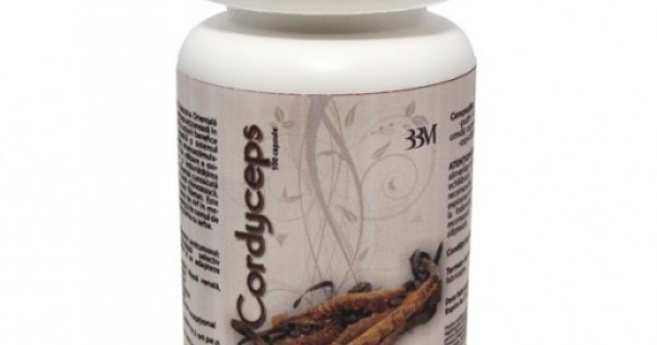 Cordyceps Ciuperca Tibetana Forte - Herbagetica, 60 capsule (Cancer) - casadeculturacluj.ro